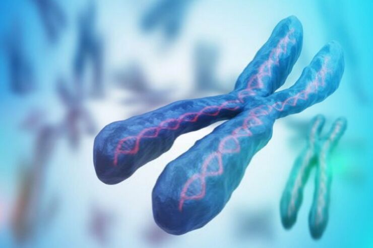 Razumevanje genetike i hromozoma