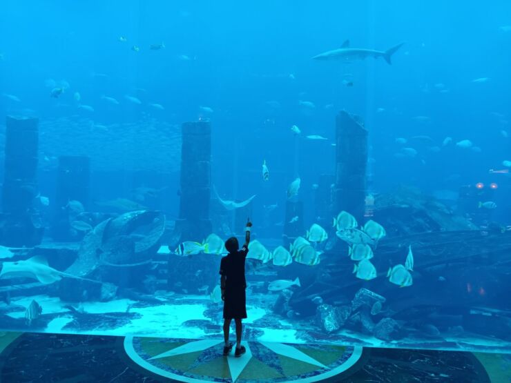 Dubai akvarijum
