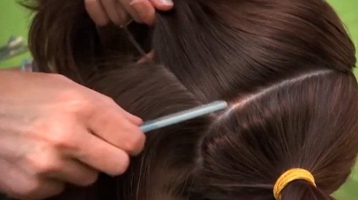 Kako izbeći vaške u kosi