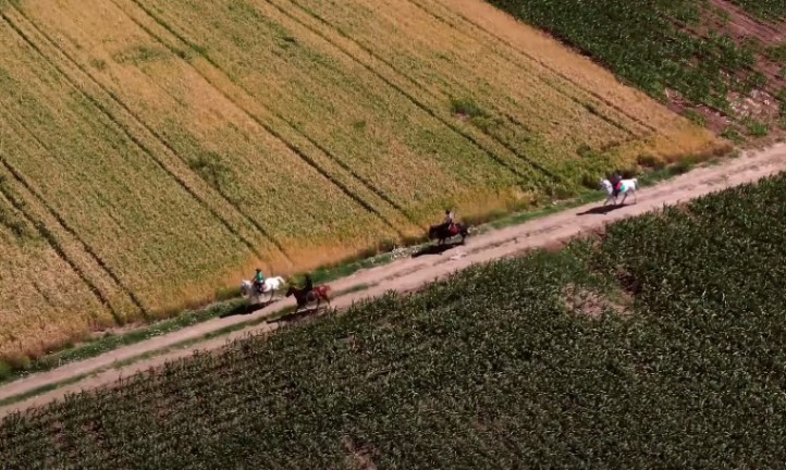 Četiri osobe jašu konje ravnicom