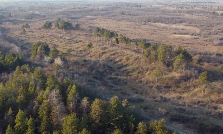 Delibatska peščara, slikano dronom