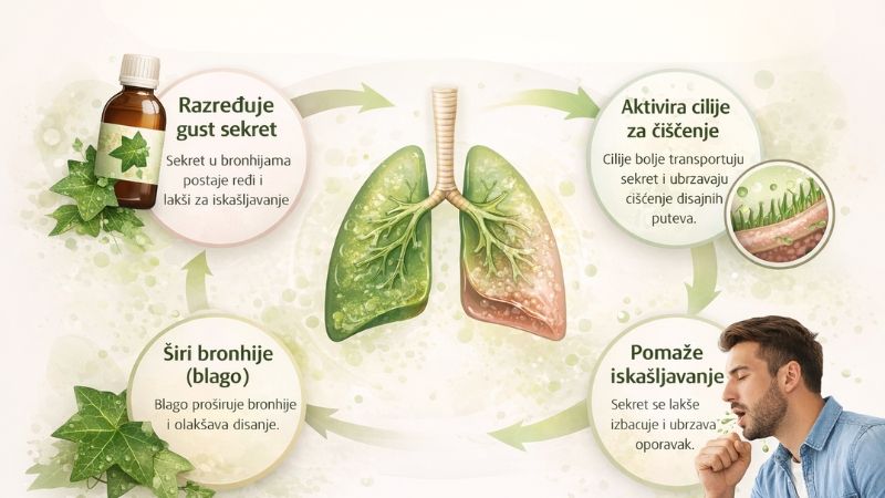 sirup za produktivni kašalj kod odraslih