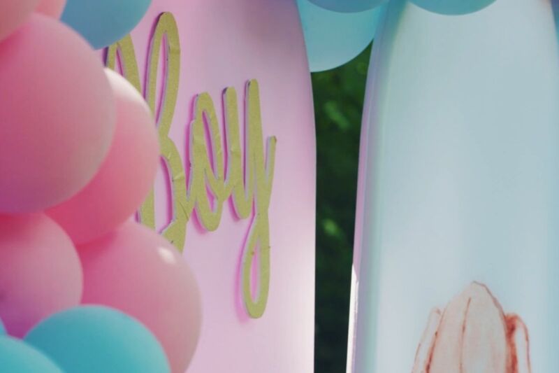 gender reveal proslava