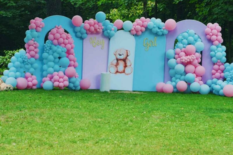 gender reveal proslava